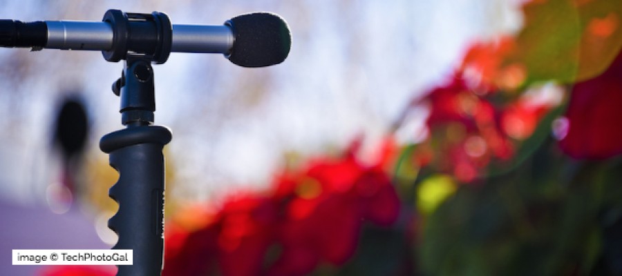 LIVE MUSIC CHRISTMAS GIFT GUIDE