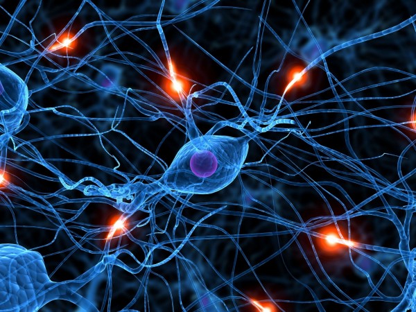 La musica questione di cultura o di neuroni