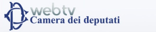 Audizione del Ministro Massimo Bray